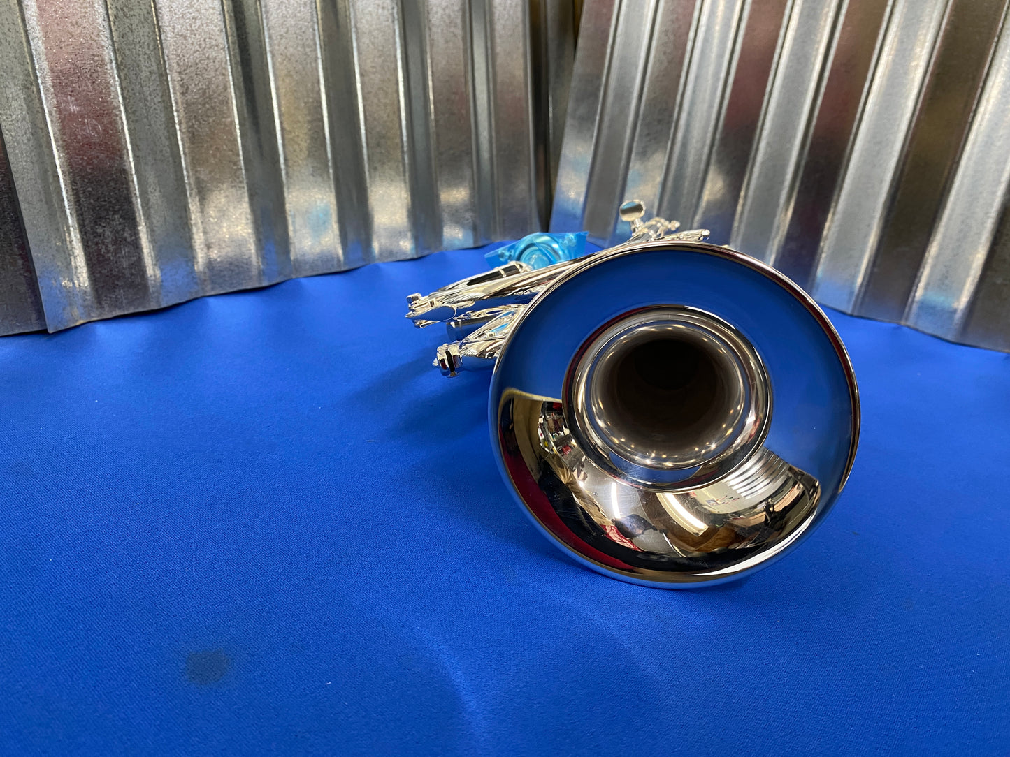 NEW Schilke Eb Soprano Cornet