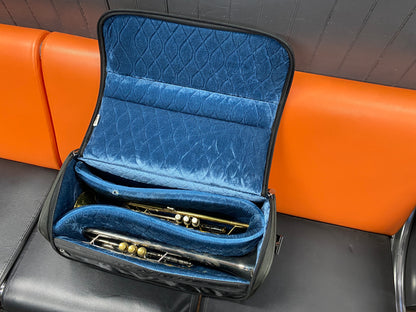 USED Reunion Blues Gig Bag for Three Trumpets